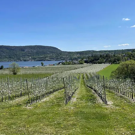 By The Fjord 1h From Oslo *