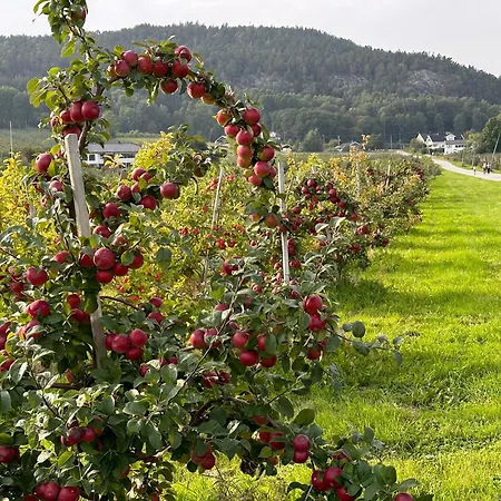 By The Fjord 1h From Oslo Дом отдыха Драммен
